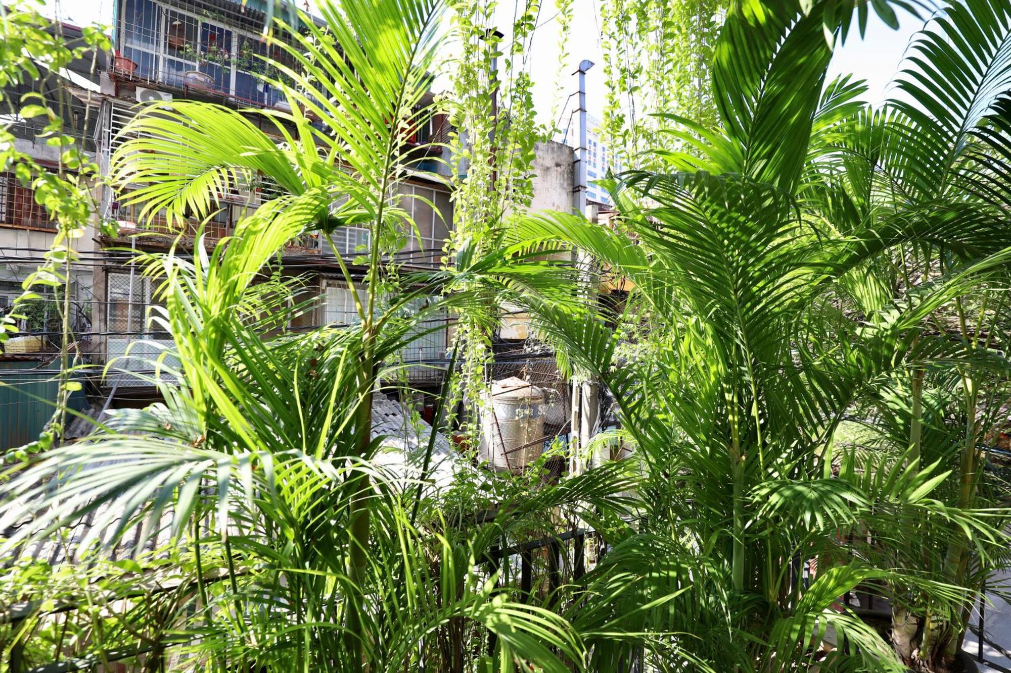 The Garden House Apartment Hanoi Exterior foto